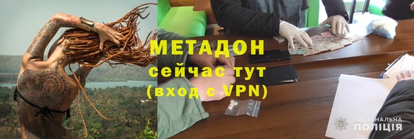 прущие грибы Горнозаводск