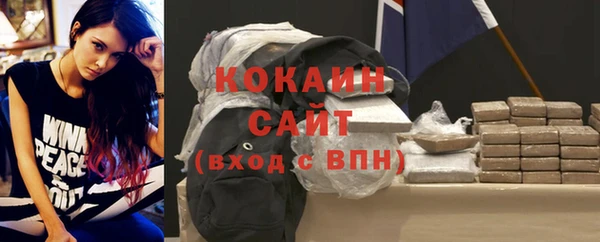 прущие грибы Горнозаводск