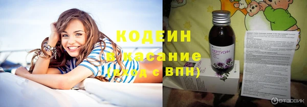 прущие грибы Горнозаводск