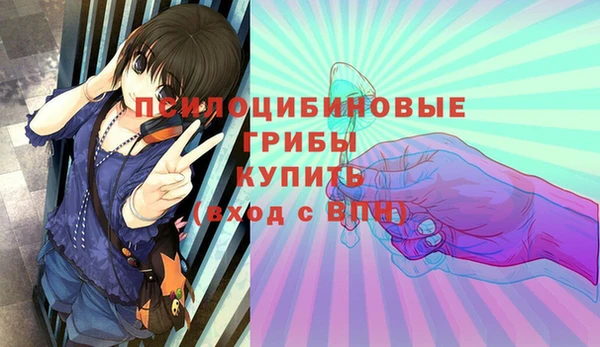 прущие грибы Горнозаводск