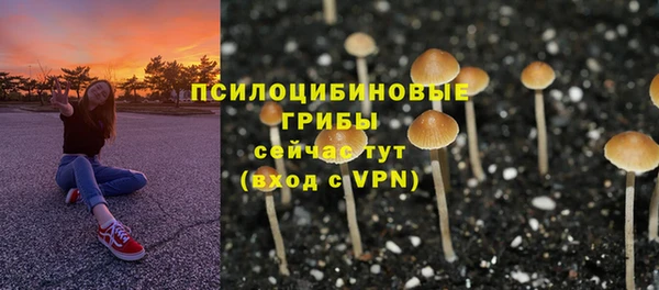прущие грибы Горнозаводск