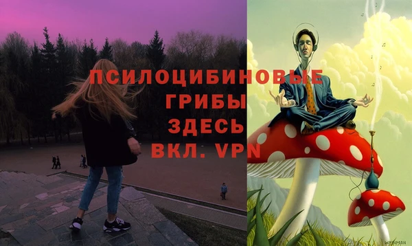 соль ск Горняк