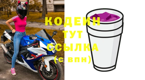 прущие грибы Горнозаводск