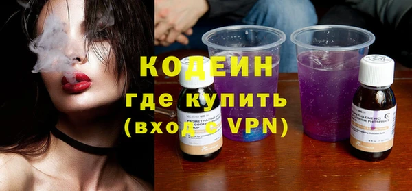 прущие грибы Горнозаводск
